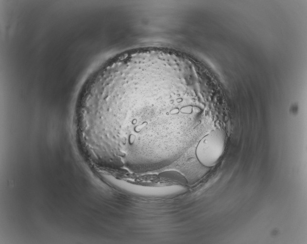 X0000116841414201001081449