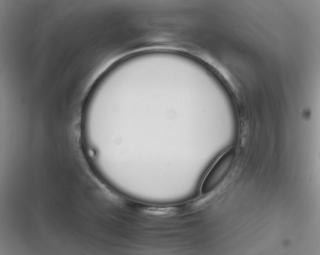 X0000116841415201001081449