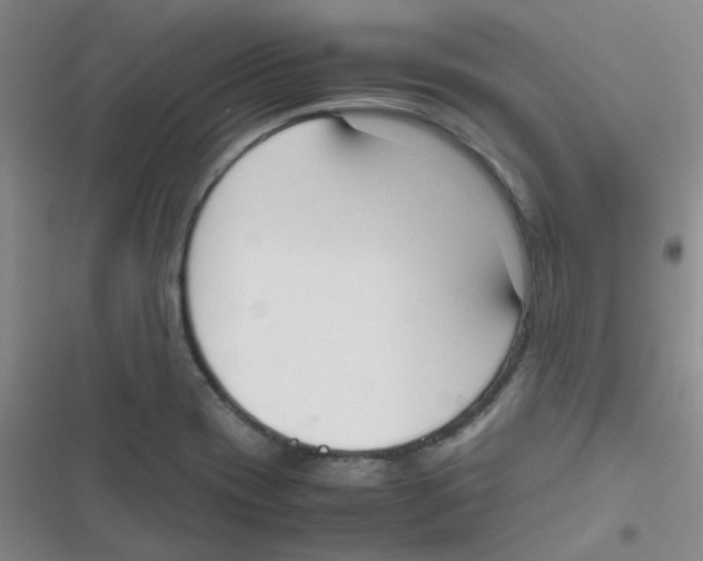 X0000116841417201001081449