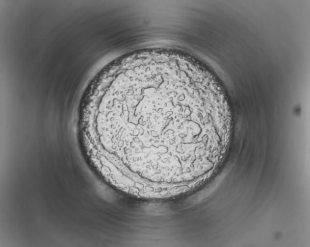 X0000116841418201001081449