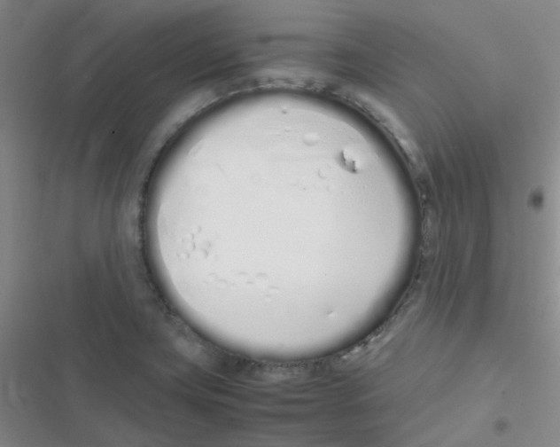 X0000116841419201001081449