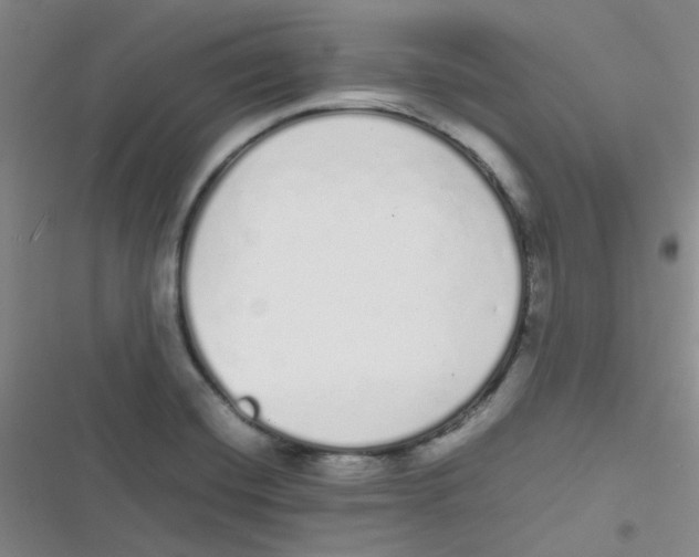 X0000116841420201001081449