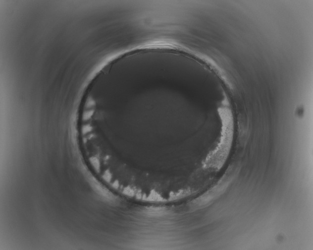 X0000116841422201001081449