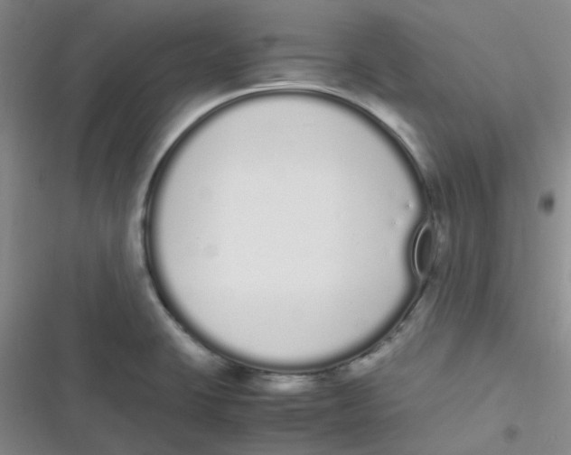 X0000116841423201001081449