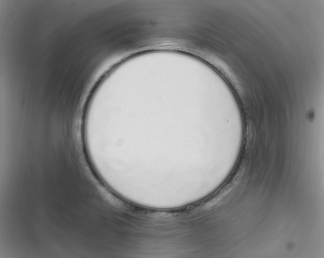 X0000116841424201001081449