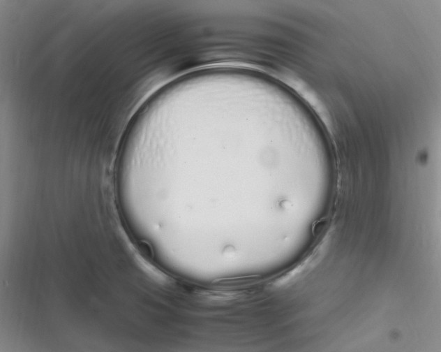 X0000116841425201001081449