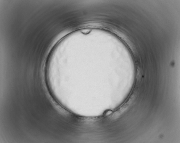 X0000116841426201001081449