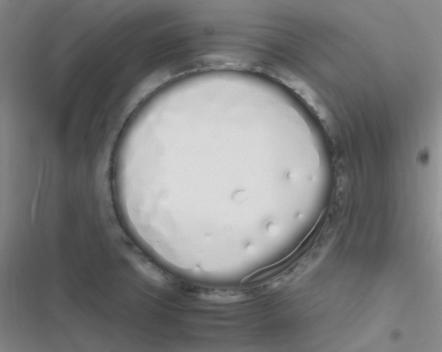 X0000116841427201001081449