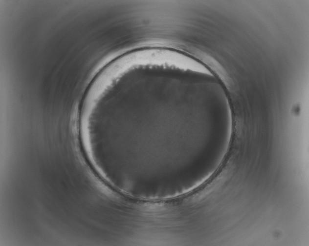 X0000116841428201001081449