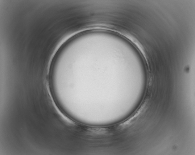 X0000116841429201001081449