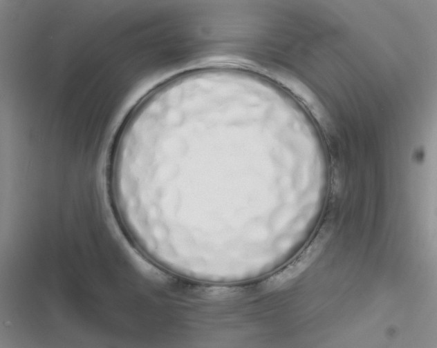 X0000116841430201001081449