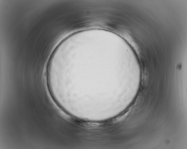 X0000116841431201001081449