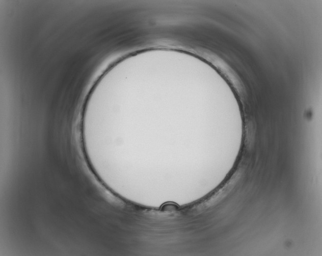 X0000116841432201001081449