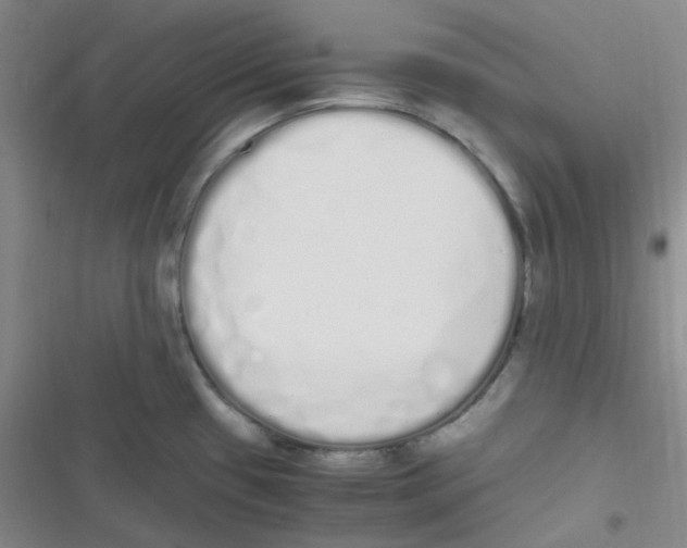 X0000116841433201001081449