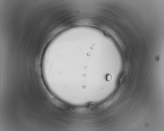 X0000116841434201001081449