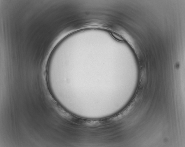 X0000116841435201001081449