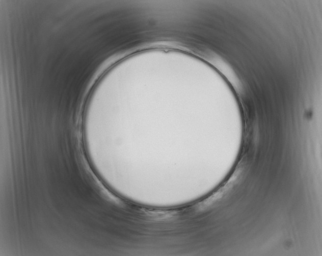 X0000116841436201001081449