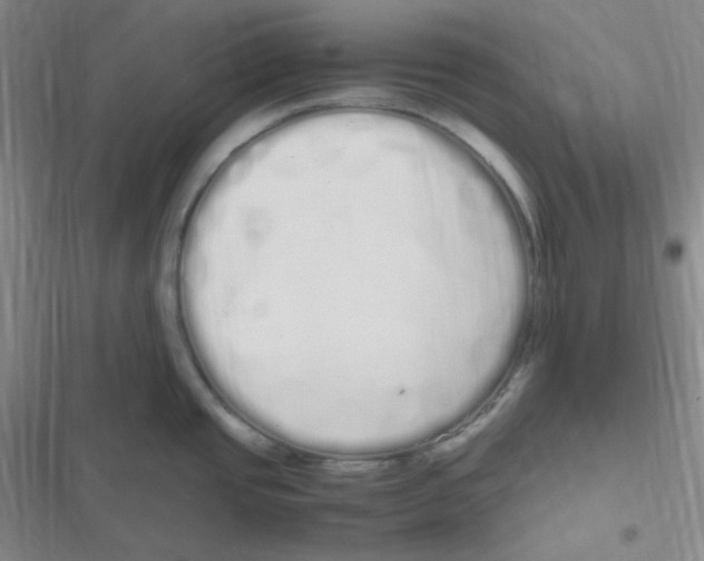 X0000116841437201001081449