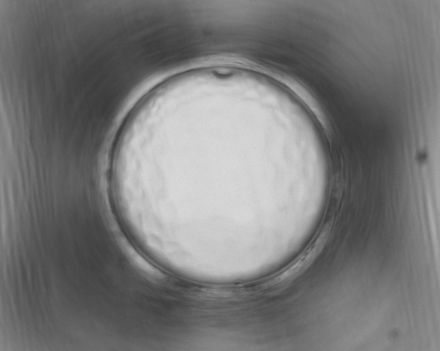 X0000116841438201001081449