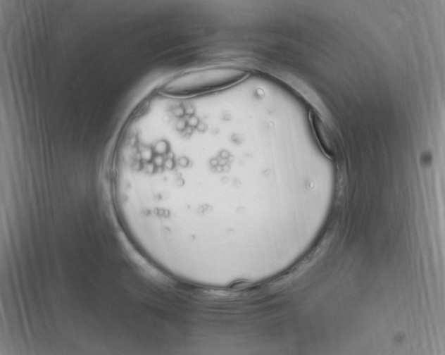 X0000116841439201001081449