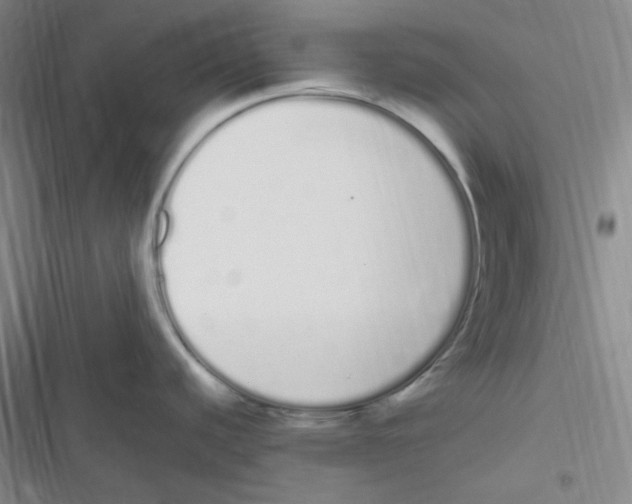 X0000116841440201001081449