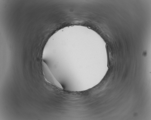 X0000116841441201001081449