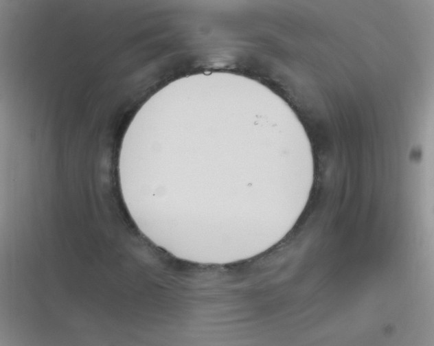 X0000116841442201001081449