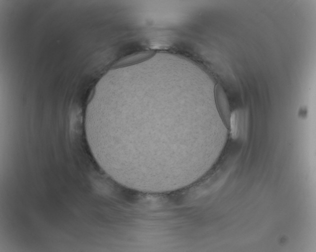 X0000116841443201001081449