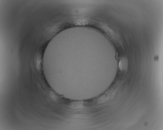 X0000116841444201001081449