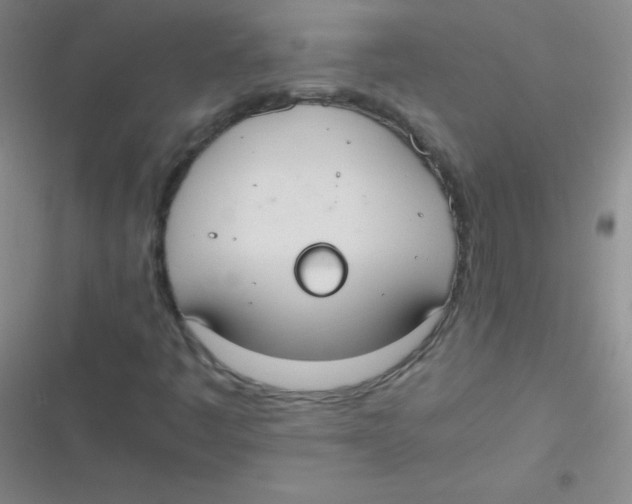 X0000116841445201001081449