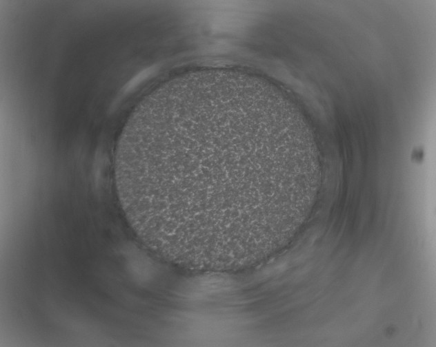 X0000116841446201001081449