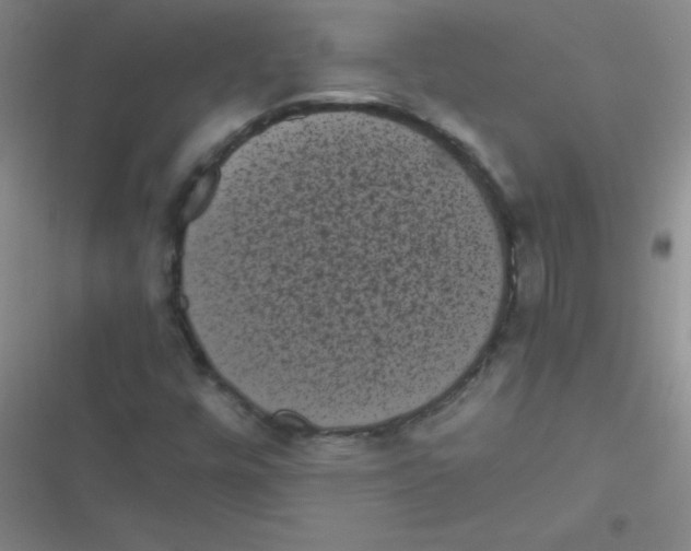 X0000116841448201001081449