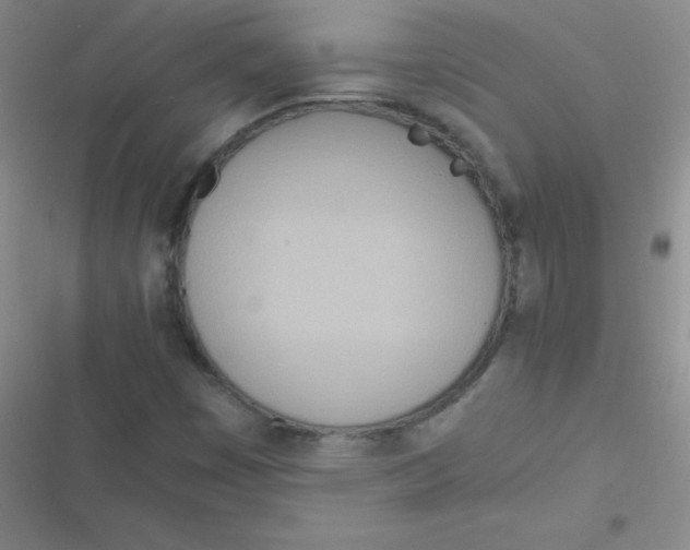 X0000116841449201001081449