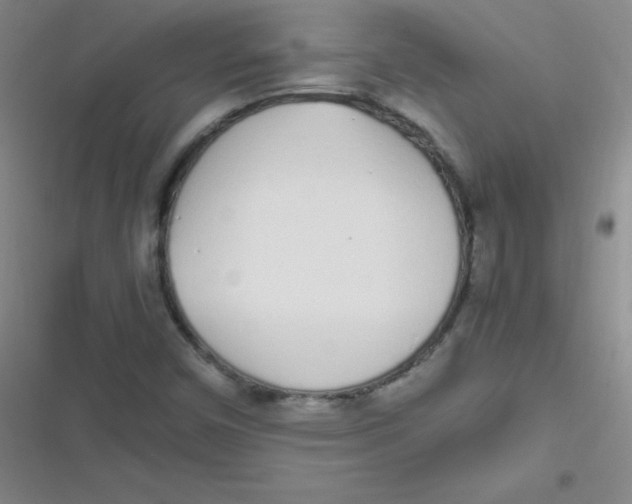 X0000116841450201001081448