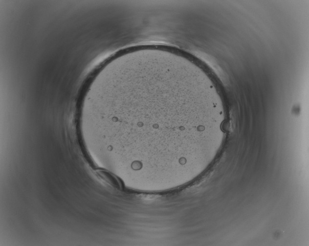 X0000116841452201001081448