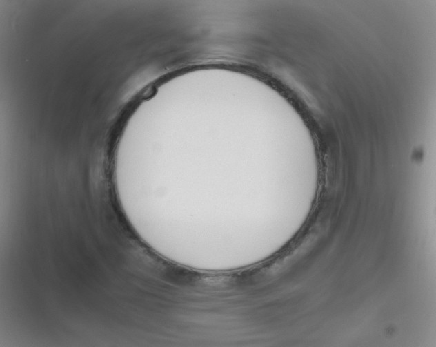 X0000116841453201001081448