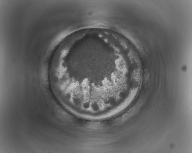 X0000116841455201001081448