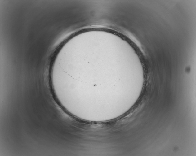 X0000116841456201001081448