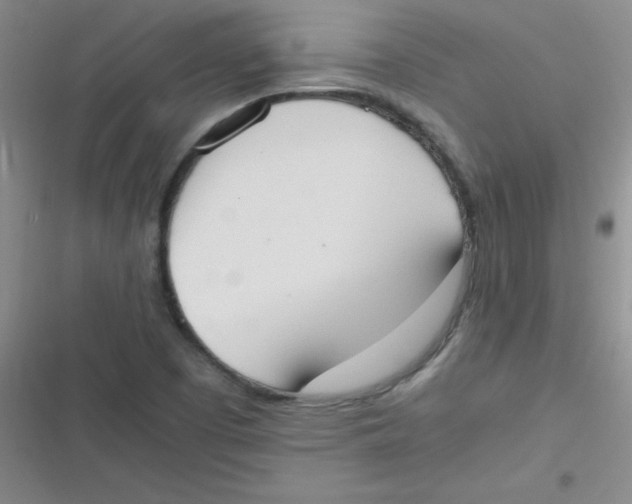 X0000116841457201001081448