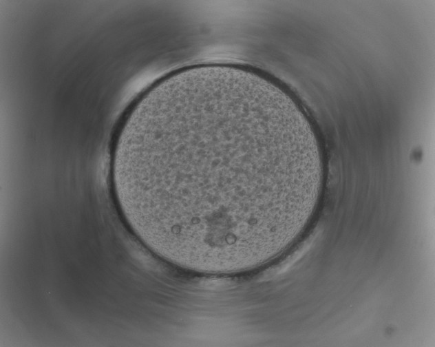 X0000116841461201001081448