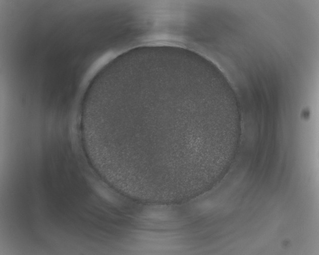 X0000116841462201001081448