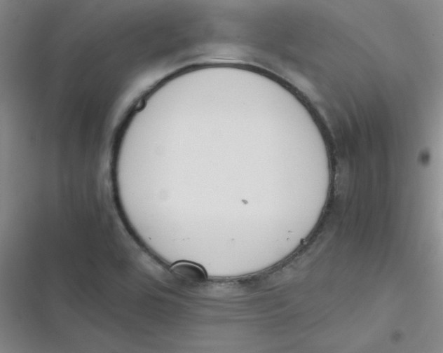 X0000116841464201001081448