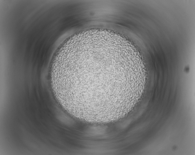 X0000116841466201001081448