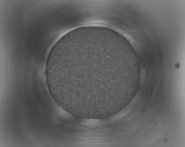 X0000116841470201001081448