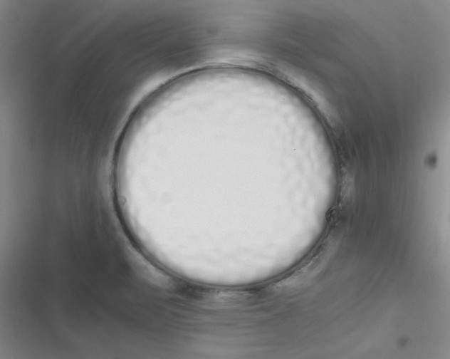 X0000116841471201001081448