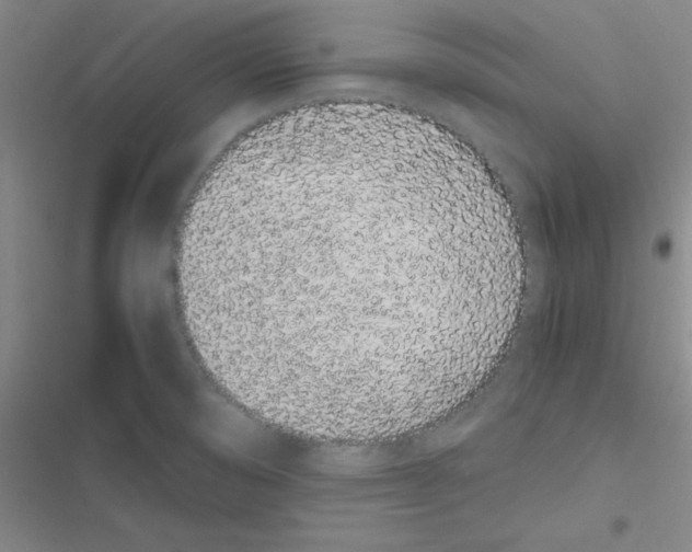 X0000116841474201001081448