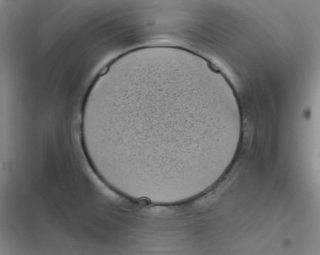 X0000116841476201001081448