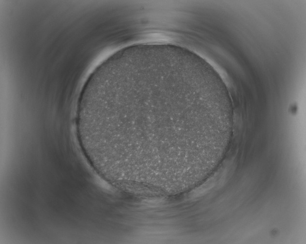 X0000116841477201001081448