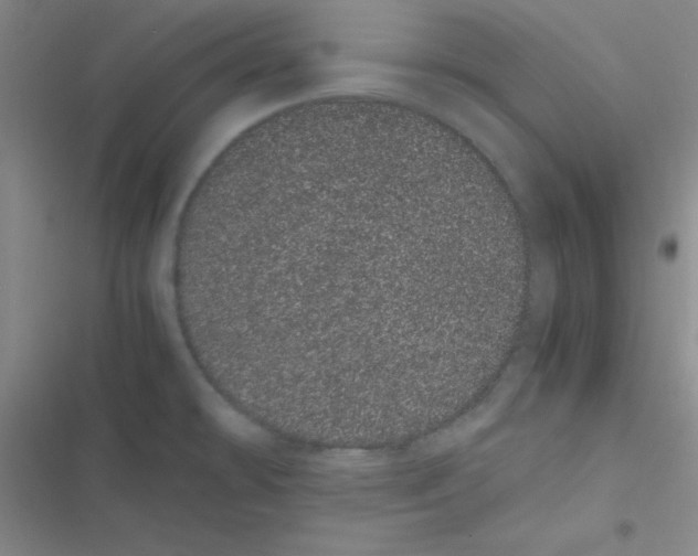 X0000116841478201001081448