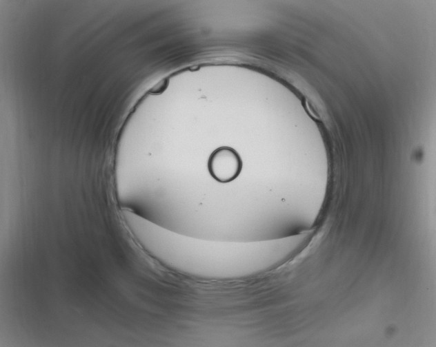 X0000116841481201001081448